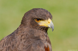 wp-content/uploads/galleries/nature/DSC00567 s.jpg