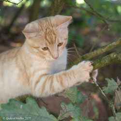 wp-content/uploads/galleries/nature/DSC04122 -1 s.jpg