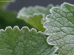 wp-content/uploads/galleries/nature/DSC04628 s.jpg