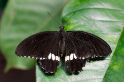 wp-content/uploads/galleries/nature/DSC04799 s.jpg