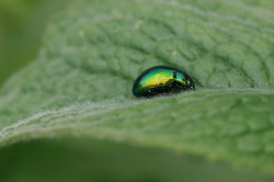 wp-content/uploads/galleries/nature/DSC05969 s.jpg