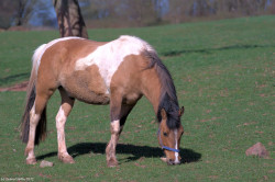 wp-content/uploads/galleries/nature/DSC06299 -1 s.jpg